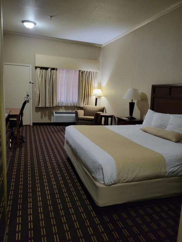 Single Room image 3