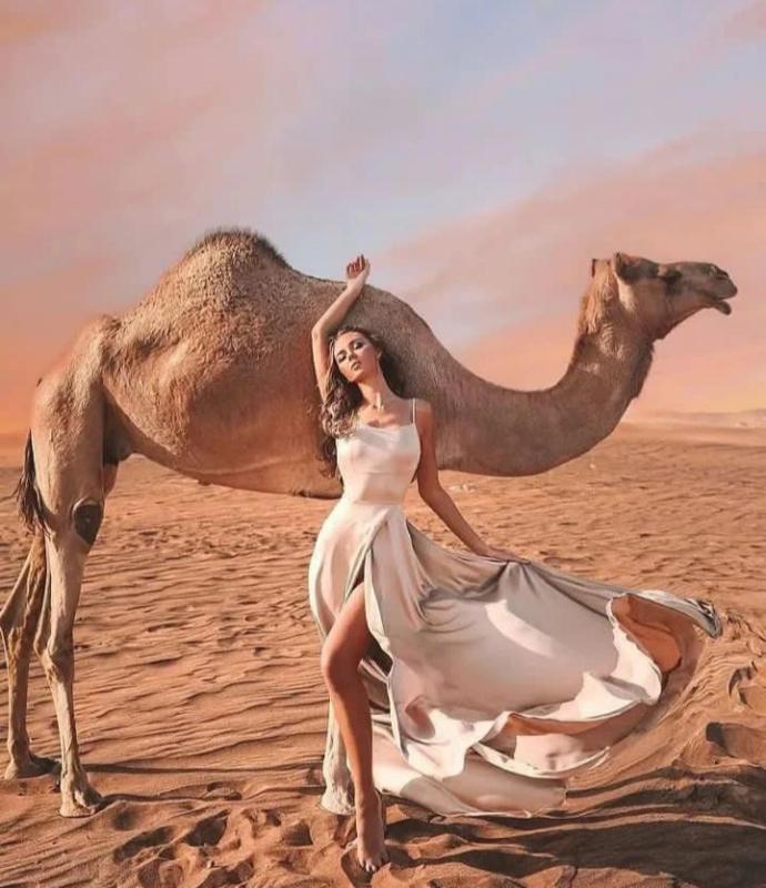 Merzouga Top Luxury Camp - image 16