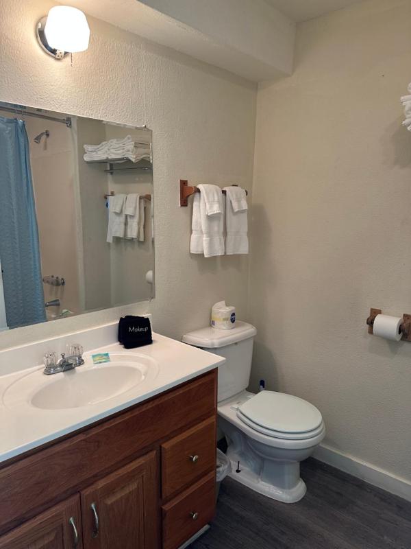 Family Room image 3