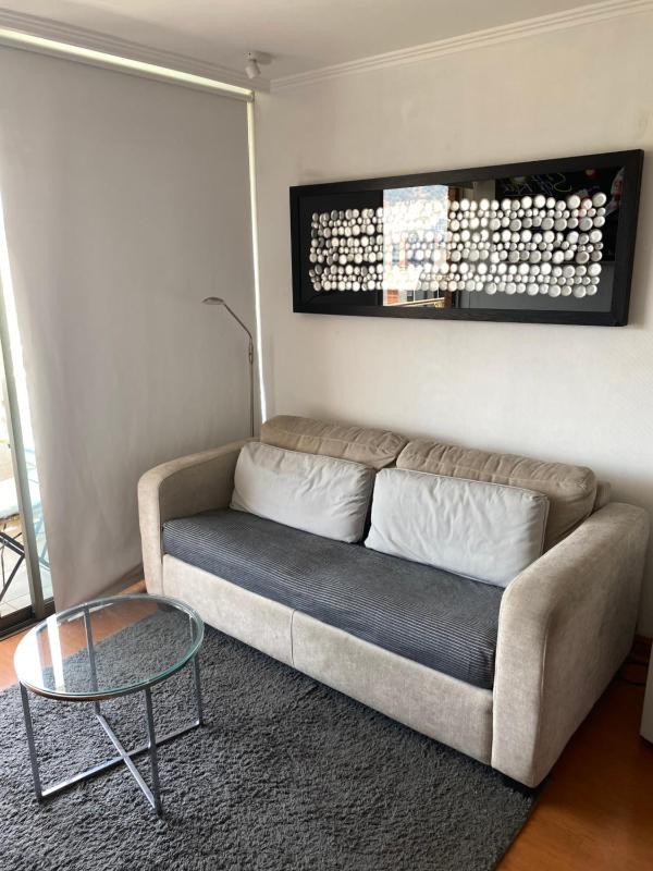 Precioso departamento Providencia central - image 12