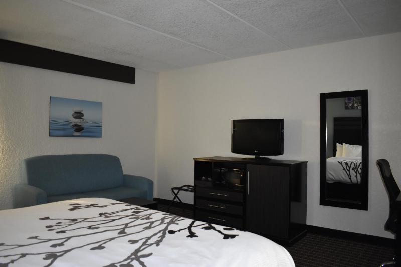 King Suite - Non-Smoking image 4
