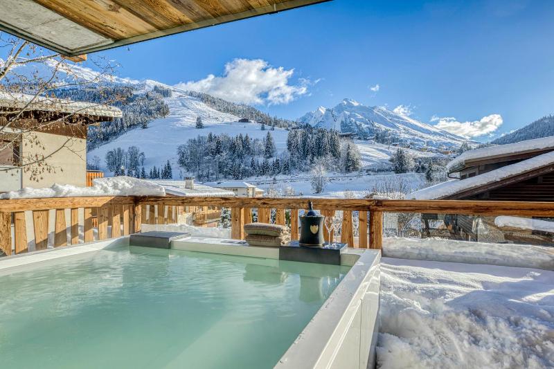 Les Chalets de La Clusaz - Appartement Le Faon - image 23
