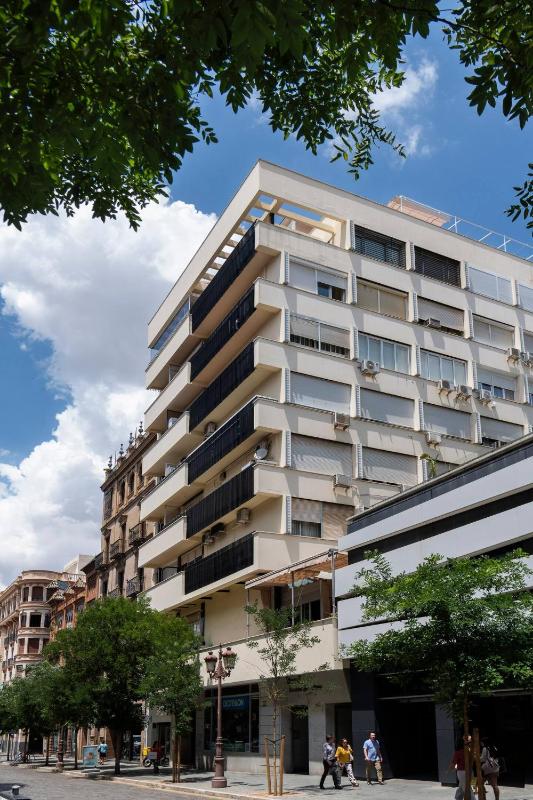 MonKeys Apartments La Campana Suites - image 6