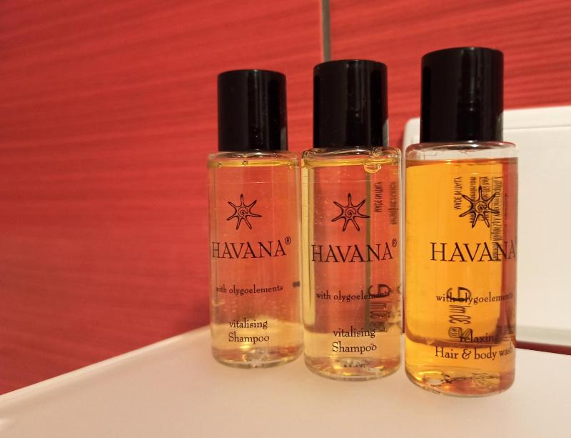 Duplex Apartment image 4