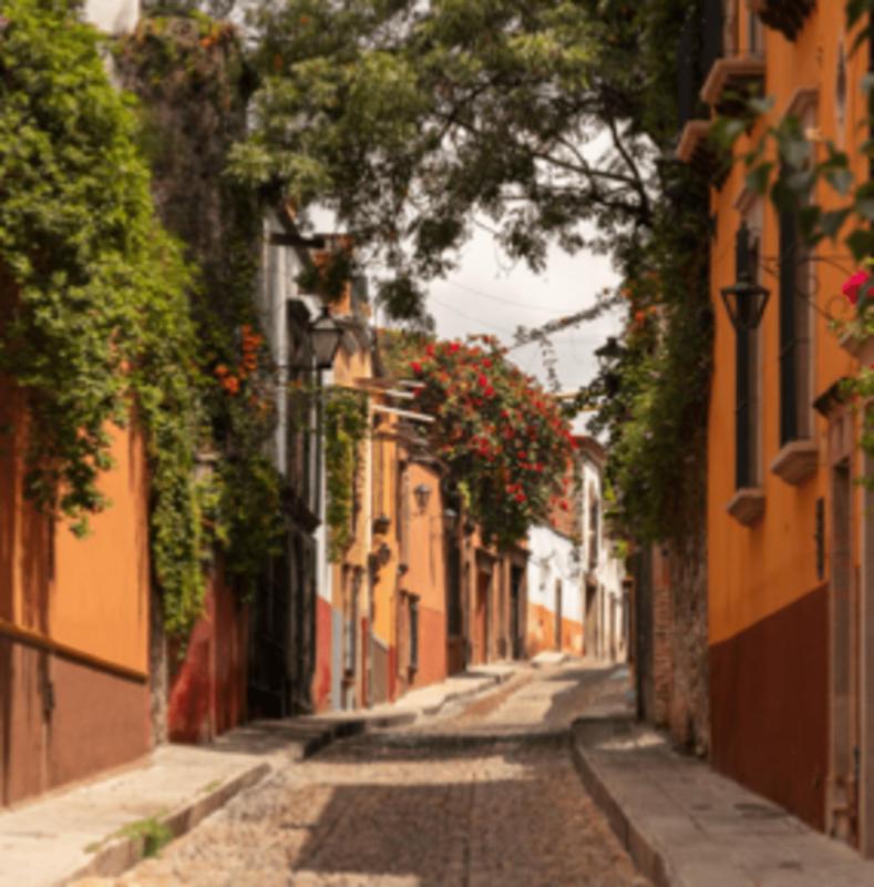 Hostal Cuija Coyoacan Berlin 268 Coyoacan - image 3