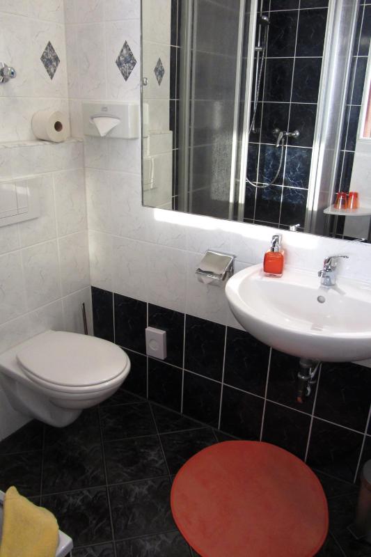 Double or Twin Room image 1