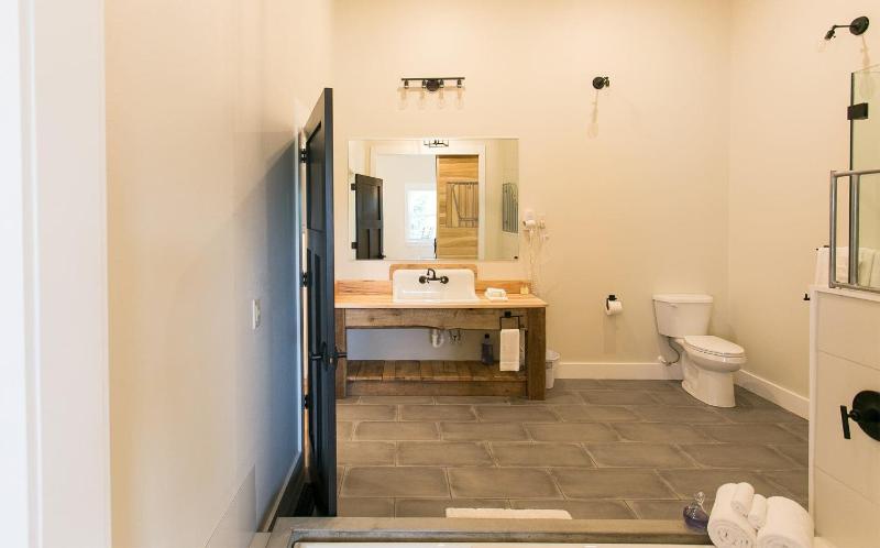 Deluxe Suite image 4