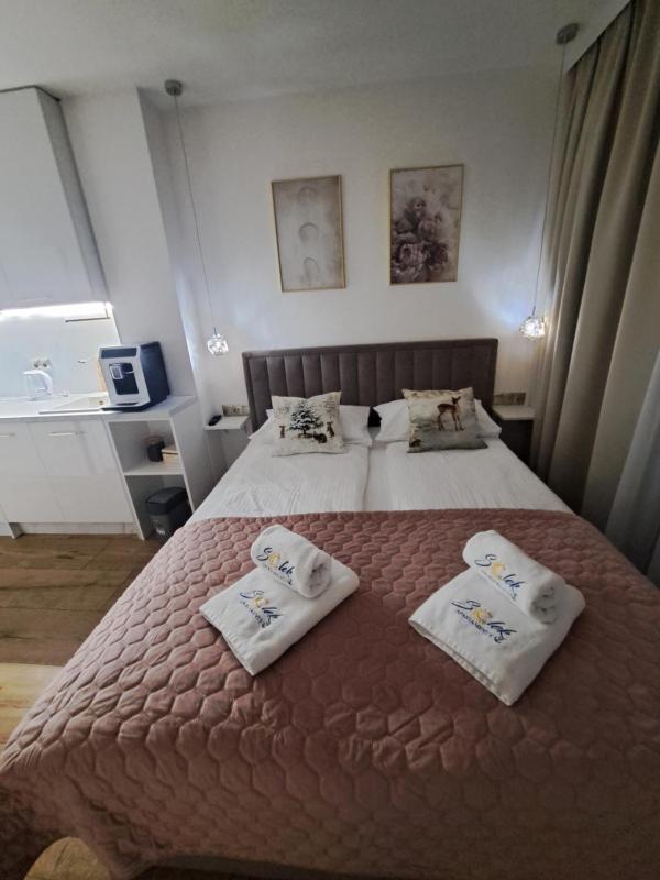 SOLEK Apartamenty hotelowe i pokoje gościnne ze śniadaniem przyjazne zwierzętom wyjątkowe z widokiem na Jezioro Jamno i w bardzo bliskiej odległości od morza - image 32