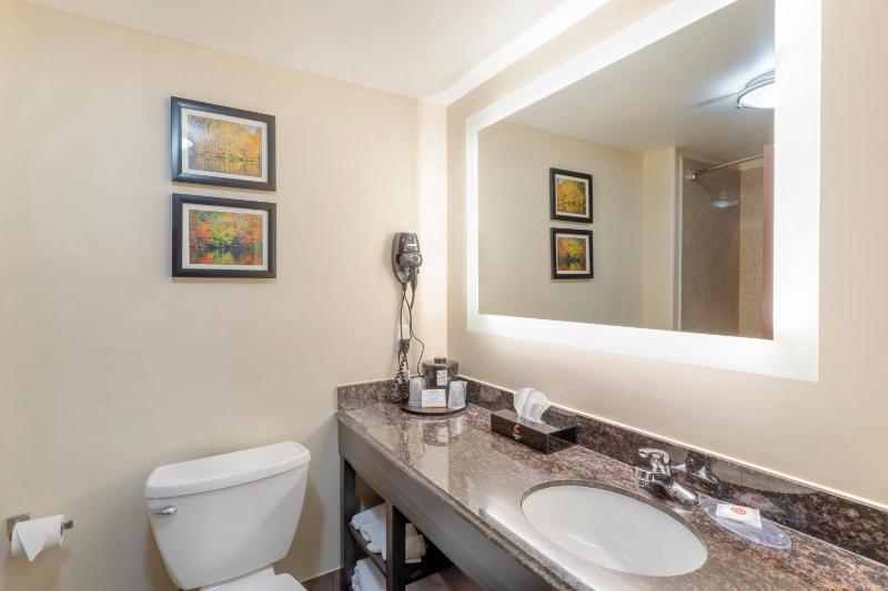 King Suite - Non-Smoking image 2