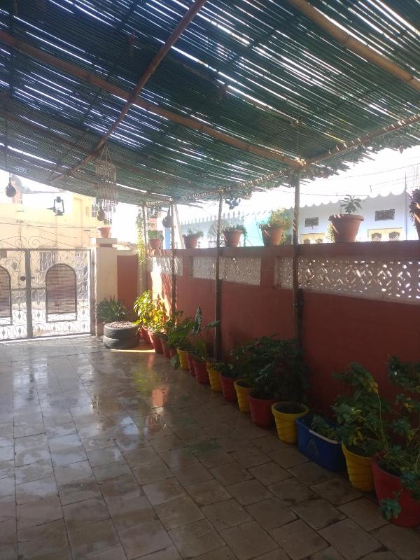 Red king home stay - image 15