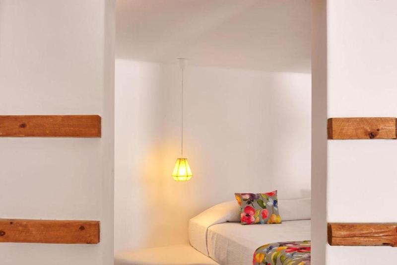 Canava Suite  image 4