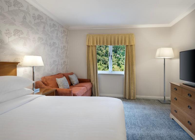 Deluxe King Room image 1