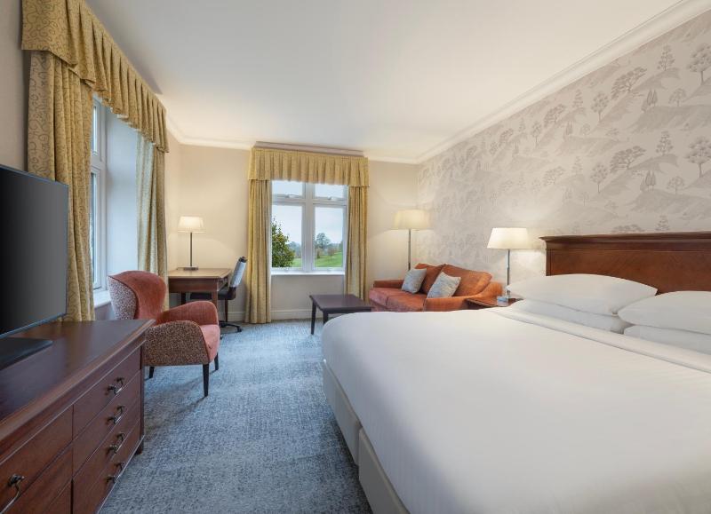 Superior King Room with View image 1