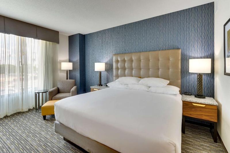 Deluxe King Suite image 4