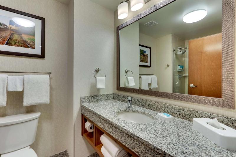 Deluxe King Suite image 3