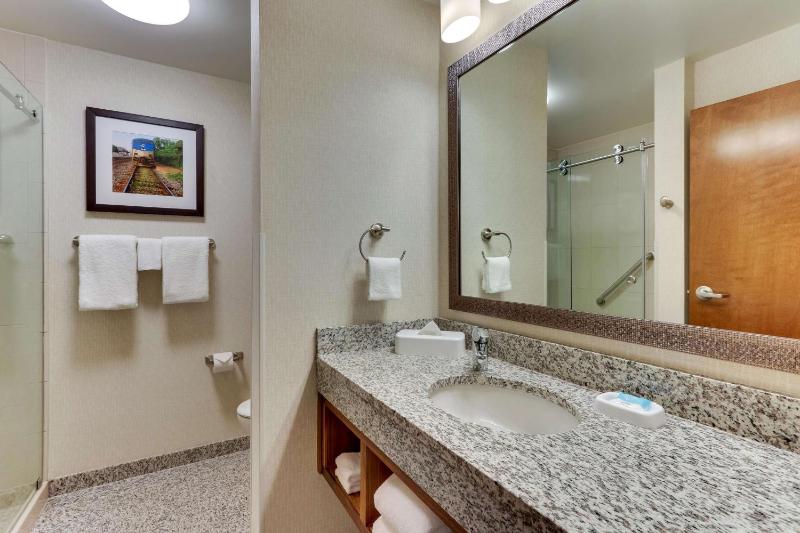Deluxe King Suite image 2