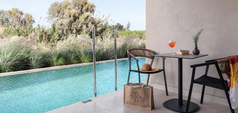 Deluxe Room with Swim Up Pool image 1