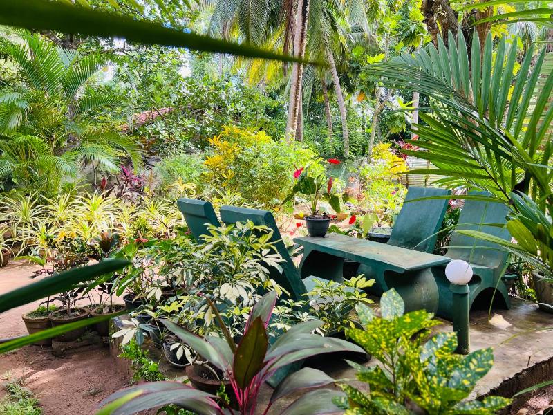 Sigiri Budget Homestay - image 8