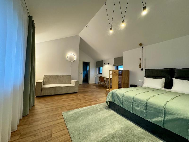 EPIC Vila Brașov Cristian - image 13