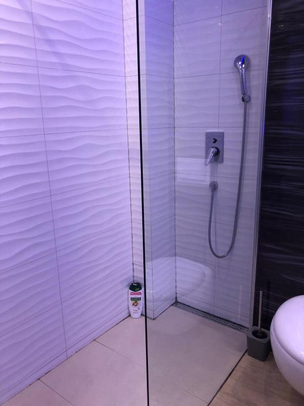 One-Bedroom Apartment image 4