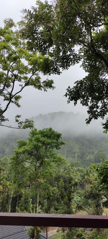 Wayanad Whistling Woods - image 10