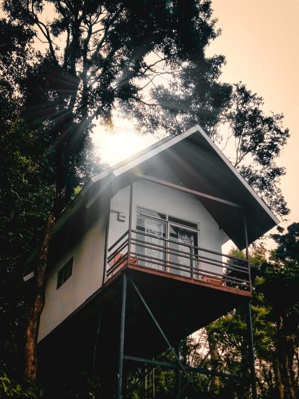 Wayanad Whistling Woods - image 11