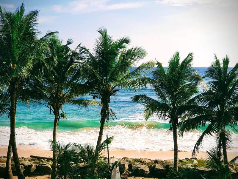 White Surfing Beach Resort - image 2