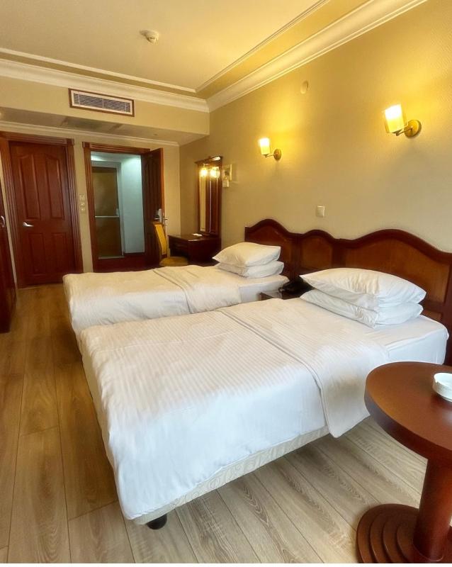 Standard Twin Room image 3