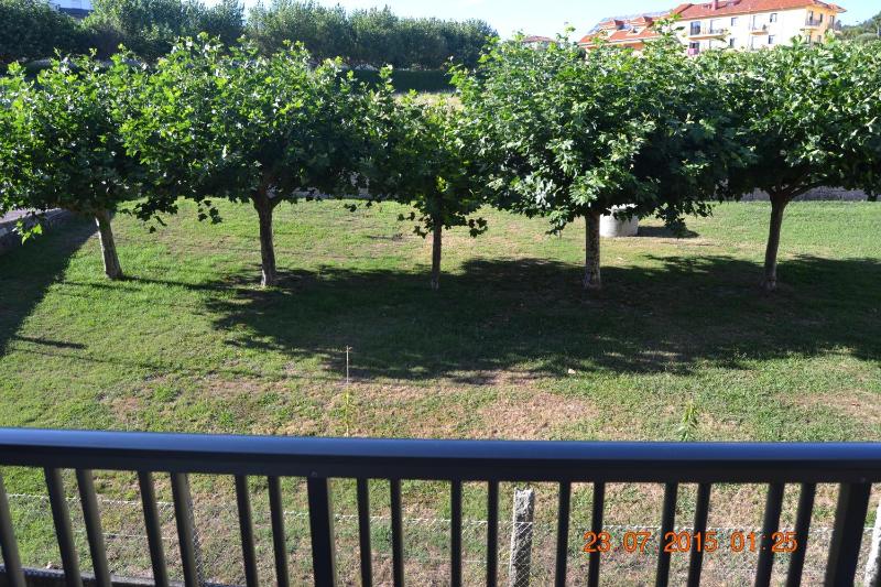 Apartamentos Montalvo Playa - image 10
