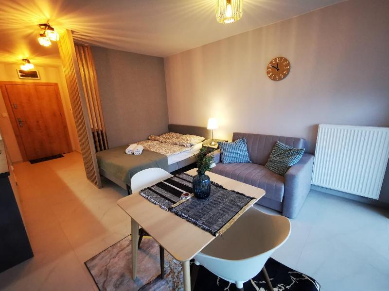 Apolonia apartament II- SPA - image 19