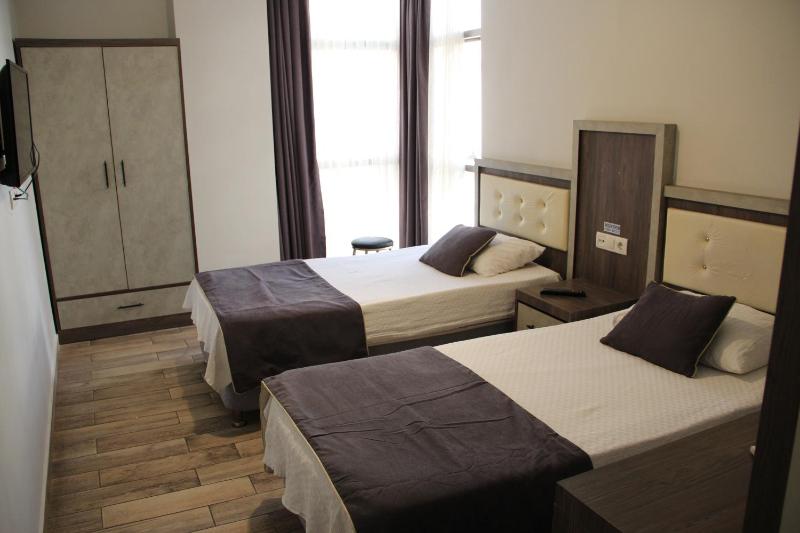 Deluxe Twin Room image 3