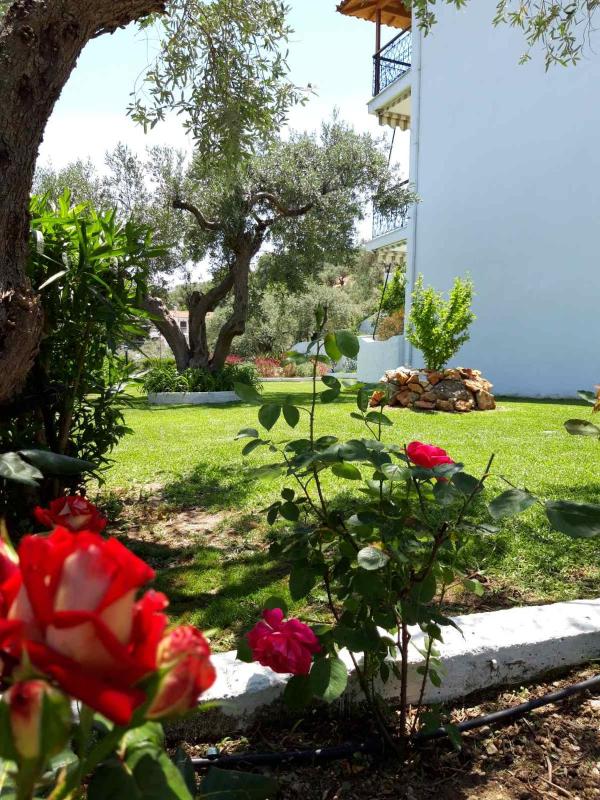Olive Grove Studios - image 17