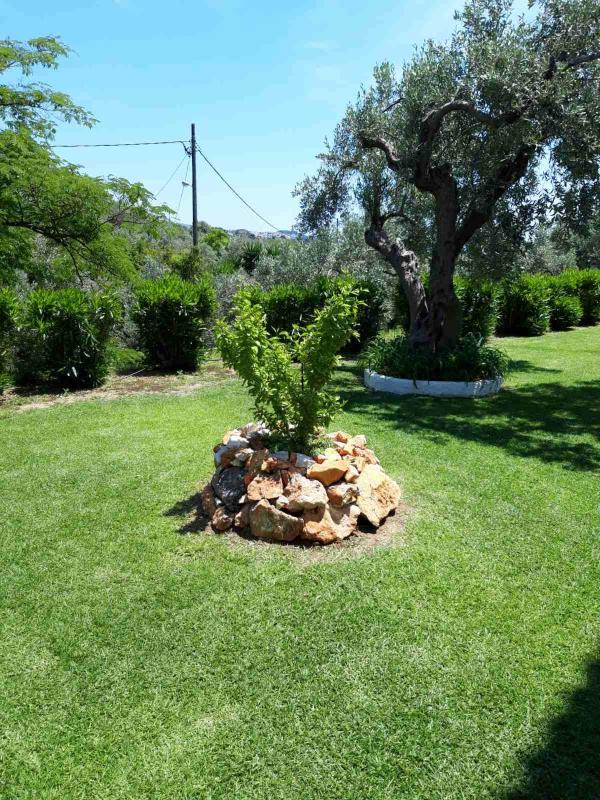 Olive Grove Studios - image 20