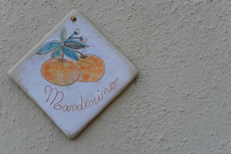 Agriturismo La Contessa - image 7