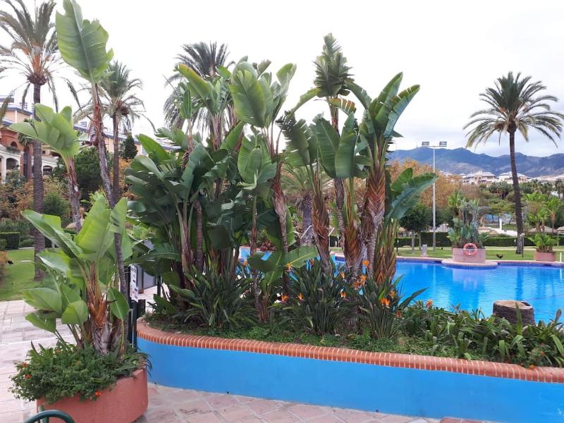 Luxury Sea View Apartment with 2 Terraces - image 9