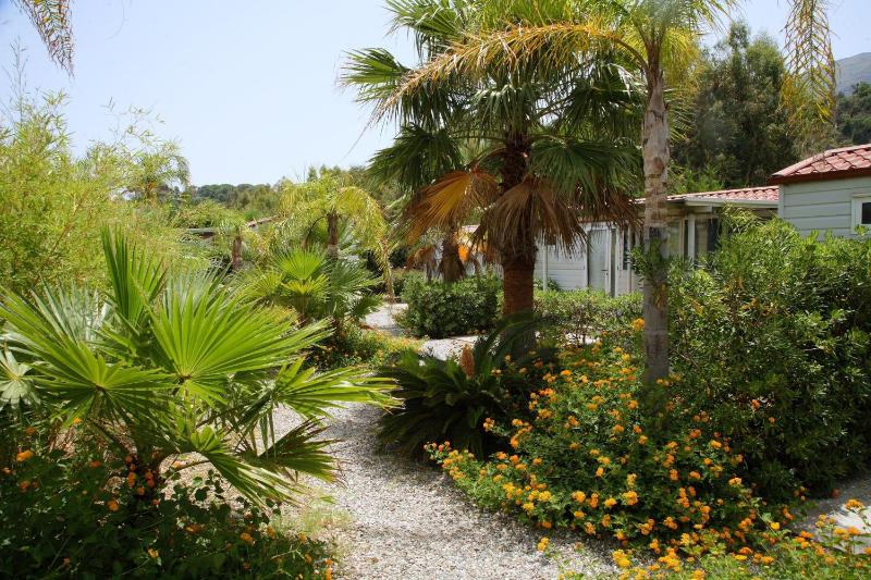 Mobile Home image 3