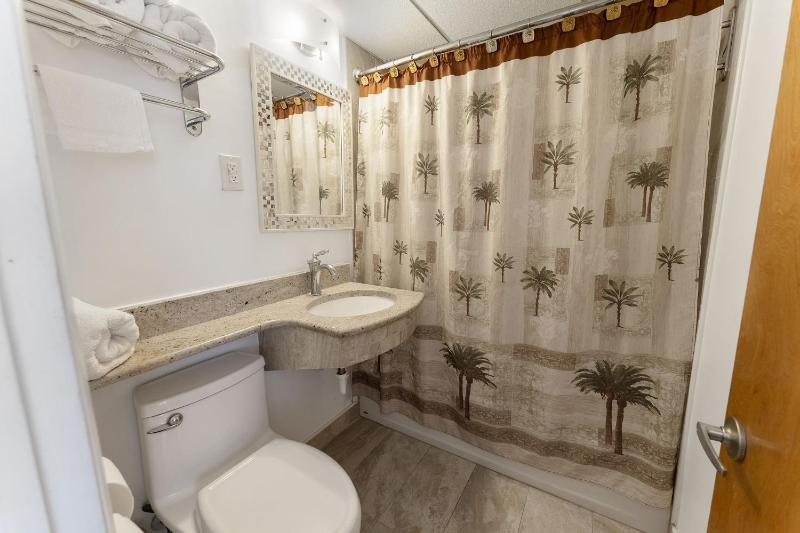 Deluxe Single Room image 3