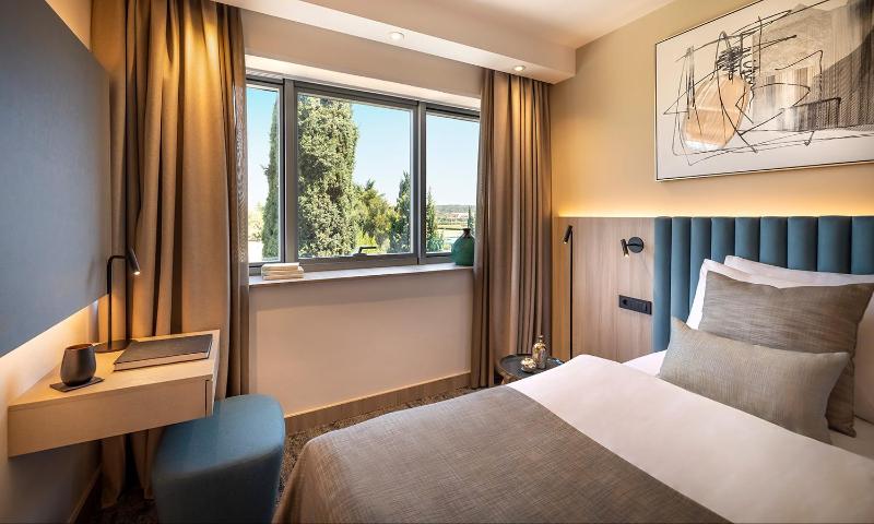 Standard Double Room image 4