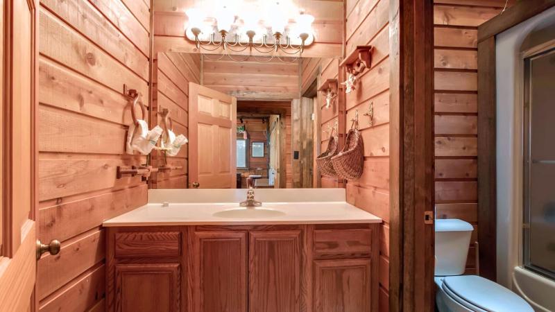 Douglas Lake Lodge in the Smoky Mountains - image 41