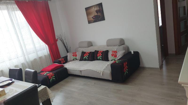 RentForComfort Charming Flat in Bistrita Images