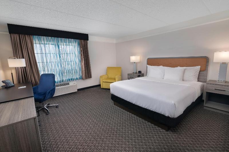 Deluxe King Room image 4