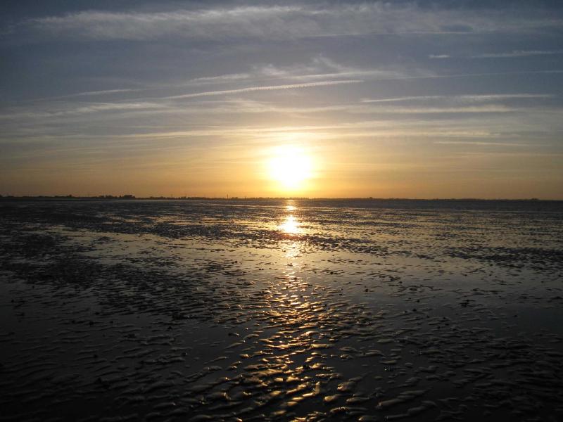 Terrassenwohnung Wangerooge - image 14