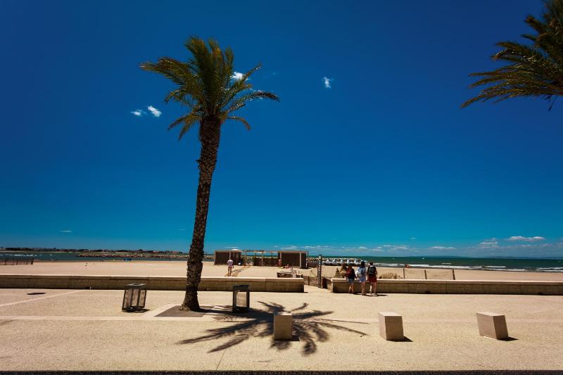 Hôtel Restaurant Splendid Camargue - image 7