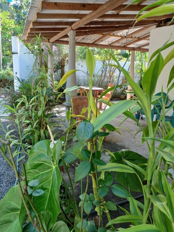 50* stay - image 28