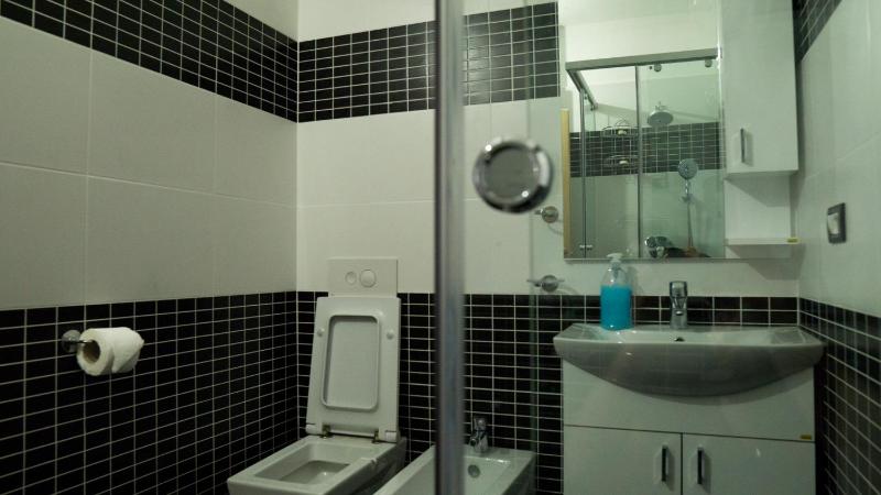 Two-Bedroom Apartment image 4