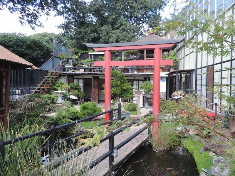 Zen Guest House - Museu do Bonsai - image 6