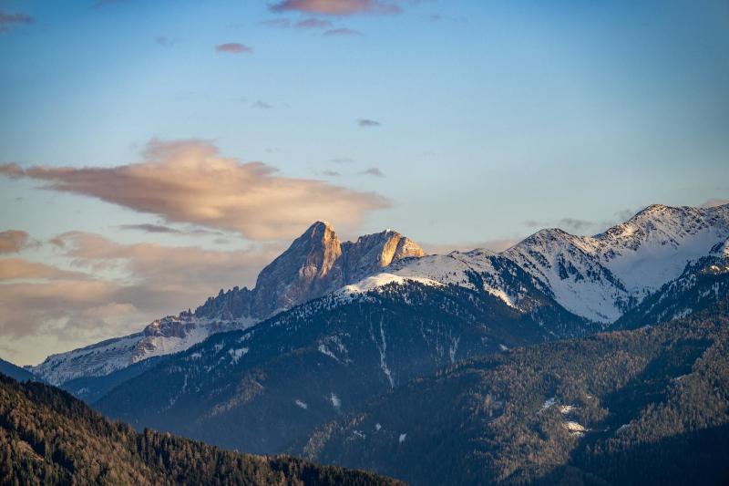 Superior Double Room image 2