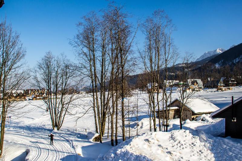 Dolina Resort Zakopane - image 26
