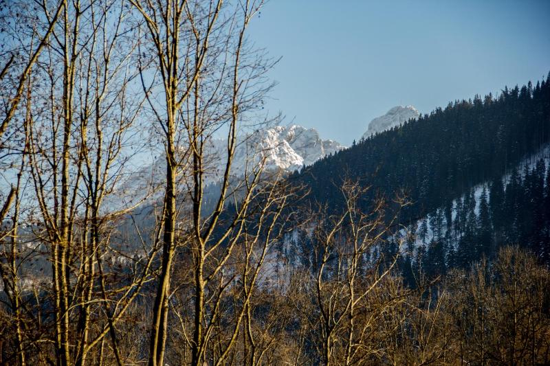 Dolina Resort Zakopane - image 23