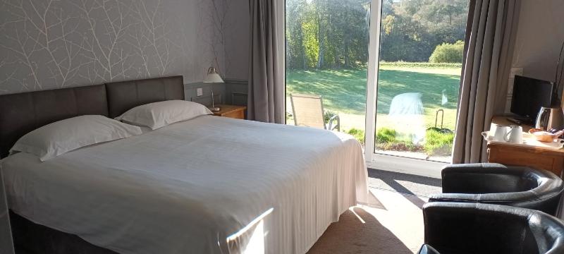 Superior Double Room image 4